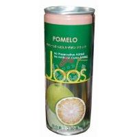 �������ӹ���֭�Ʒ(230mlX24��/��)